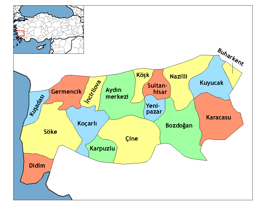 Municipalities in the province of Aydın in Türkiye.