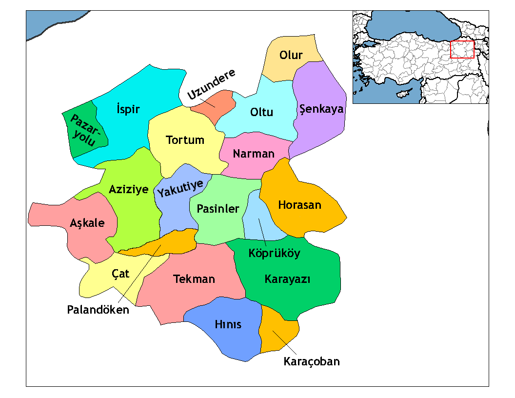 Municipalities in the province of Erzurum in Türkiye.