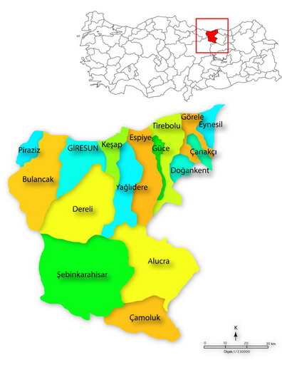 Municipalities in the province of Giresun in Türkiye.