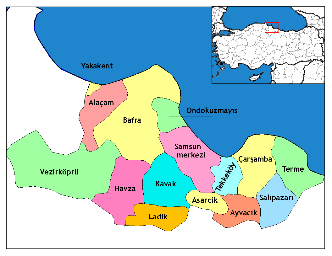 Municipalities in the province of Samsun in Türkiye.